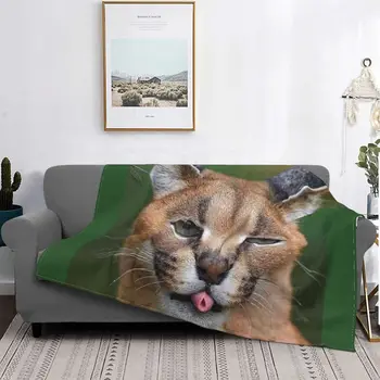 Ilus Suur Floppa Caracal Kass Kootud Tekk Fuzzy Viska Tekk Suvel Kliimaseade Isikustatud Pehme Soe Bedspread