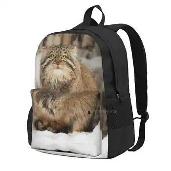 Kui Pallas ON Kass Ootab Kevadel Tulla Hot Müük Seljakott Fashion Bags Manuls Pallass Kass Pallas Kass, Metsik Kass