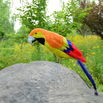simulatsioon oranž ja kollane papagoi mudel vaht ja sulgedest armas papagoi lind kingitus umbes 42cm xf2905
