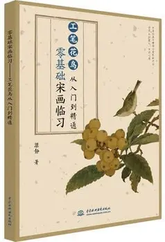 Traditsiooniline hiina Maali Lill, Lind Trahvi Brushwork alates Algajast kuni Master,Maalid Song Dynasty Joonistamise Õpetus Raamat